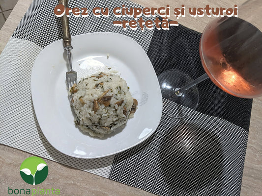 Orez cu ciuperci și usturoi