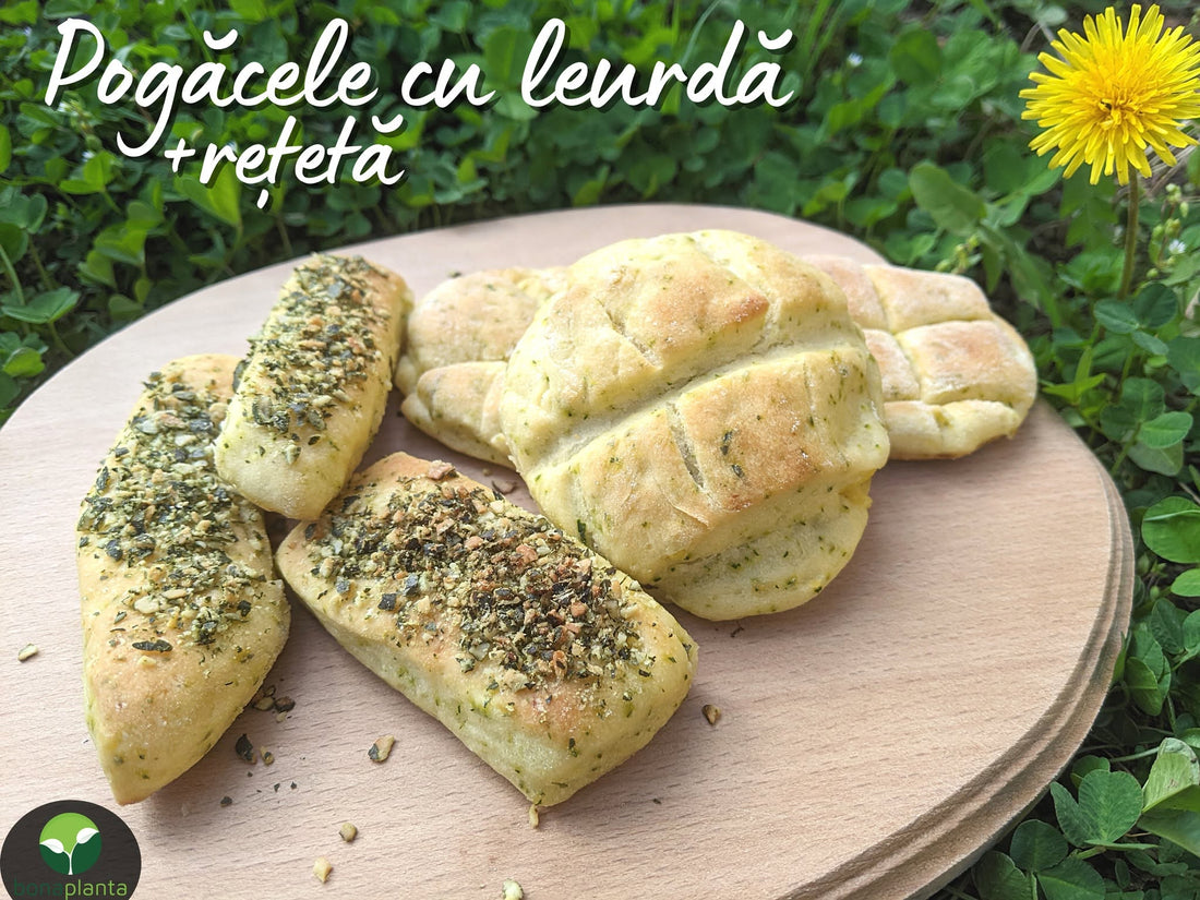 Pogăcele cu leurdă – REȚETĂ BONA PLANTA