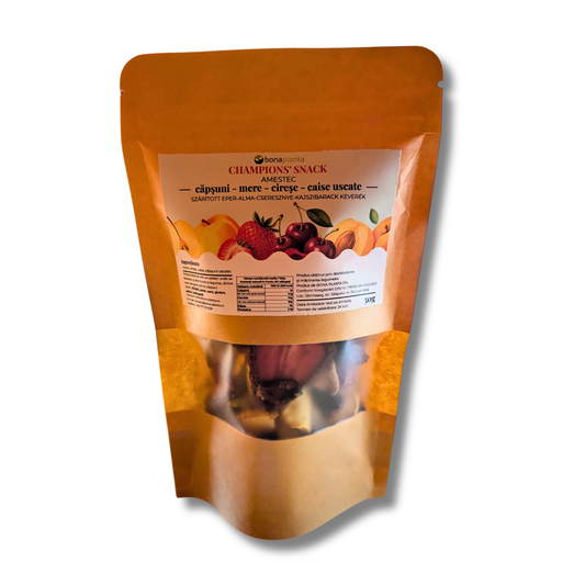 Champions' Snack - Amestec căpșuni, mere, cireșe, caise uscate  (100 % natural)